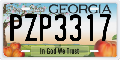 GA license plate PZP3317