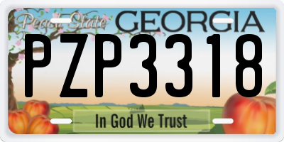 GA license plate PZP3318