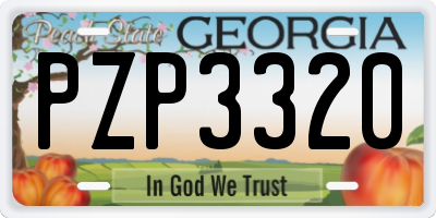 GA license plate PZP3320