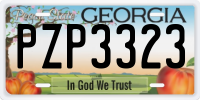 GA license plate PZP3323