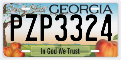 GA license plate PZP3324