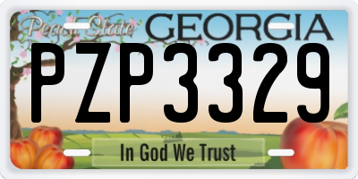 GA license plate PZP3329