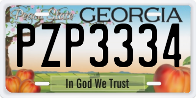 GA license plate PZP3334