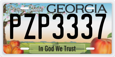 GA license plate PZP3337