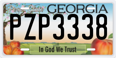 GA license plate PZP3338