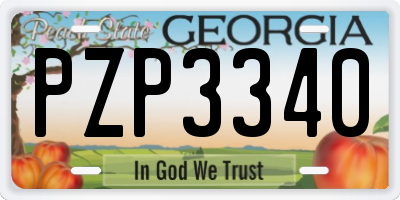 GA license plate PZP3340