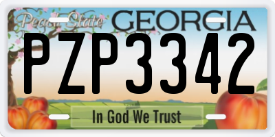 GA license plate PZP3342