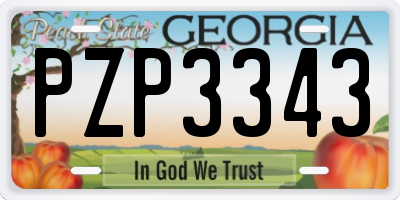 GA license plate PZP3343