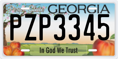 GA license plate PZP3345