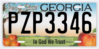GA license plate PZP3346