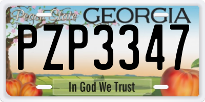 GA license plate PZP3347
