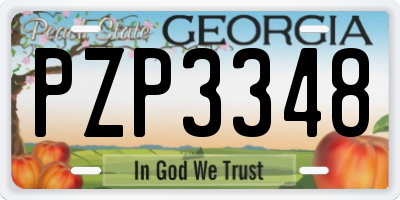 GA license plate PZP3348