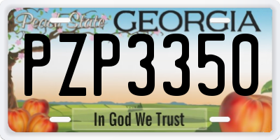 GA license plate PZP3350