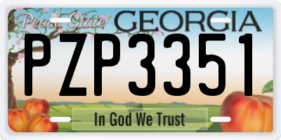 GA license plate PZP3351