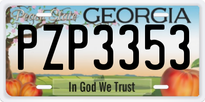 GA license plate PZP3353