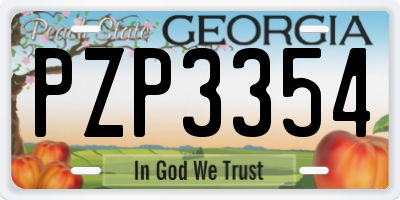 GA license plate PZP3354