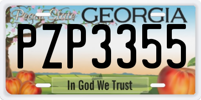 GA license plate PZP3355