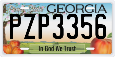 GA license plate PZP3356