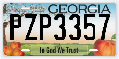 GA license plate PZP3357