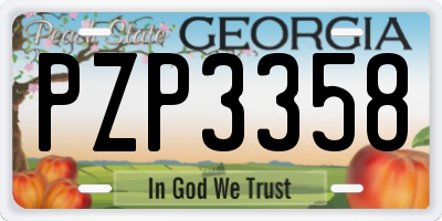 GA license plate PZP3358