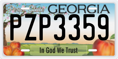 GA license plate PZP3359