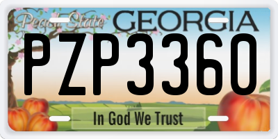 GA license plate PZP3360
