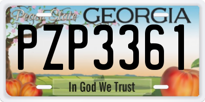 GA license plate PZP3361