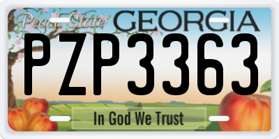 GA license plate PZP3363
