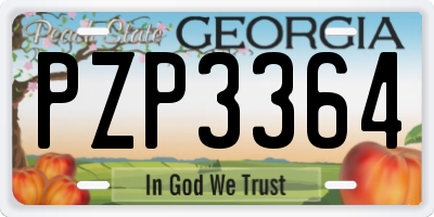 GA license plate PZP3364