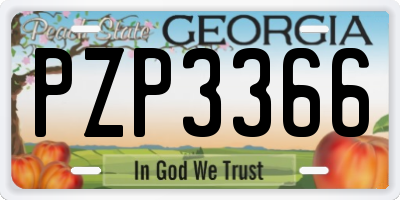 GA license plate PZP3366