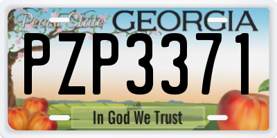 GA license plate PZP3371