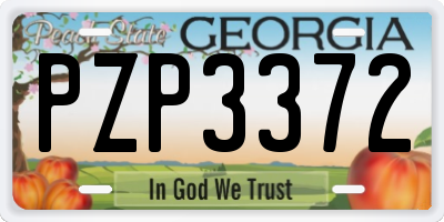 GA license plate PZP3372