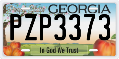 GA license plate PZP3373