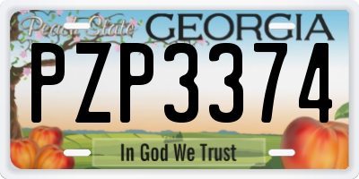 GA license plate PZP3374