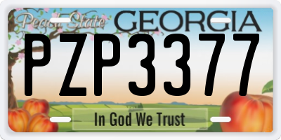 GA license plate PZP3377