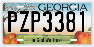 GA license plate PZP3381