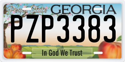 GA license plate PZP3383