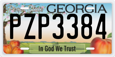 GA license plate PZP3384