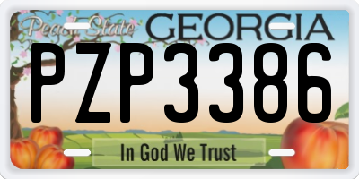 GA license plate PZP3386