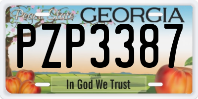 GA license plate PZP3387