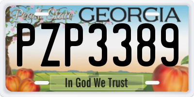 GA license plate PZP3389
