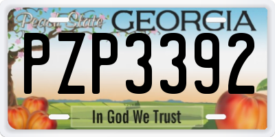GA license plate PZP3392