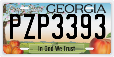 GA license plate PZP3393