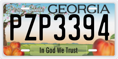 GA license plate PZP3394