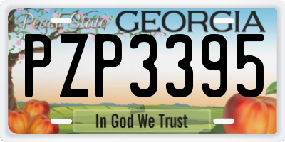 GA license plate PZP3395