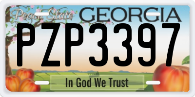 GA license plate PZP3397