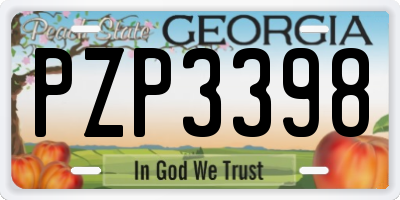 GA license plate PZP3398