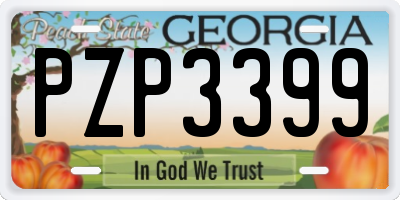 GA license plate PZP3399
