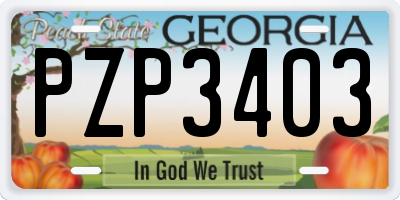 GA license plate PZP3403