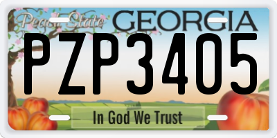 GA license plate PZP3405